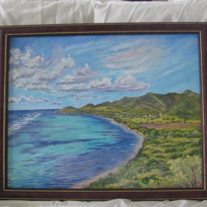 1000260 - Robins Bay/Great Pond/The Dairy Farm