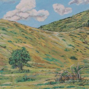 1000270 - Mill on the Hill-Estate Site