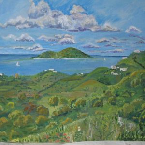 1000290 - Buck Island from 360 (print with paint)
