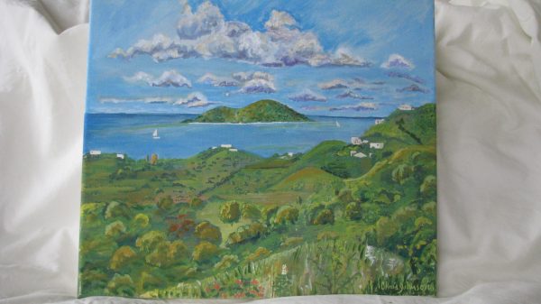 1000290 - Buck Island from 360 (print with paint)