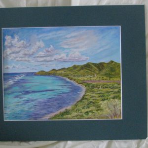 1000310 - Robins Bay/Great Pond/The Dairy Farm