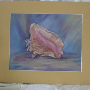 1000360 - The Shell