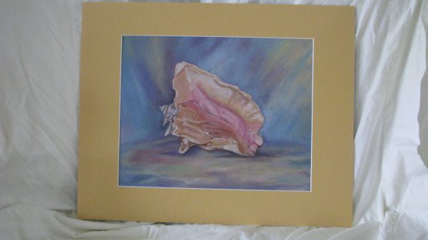 1000360 - The Shell