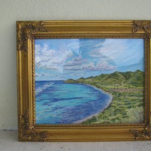 1000370 - Robins Bay/Great Pond/The Dairy Farm