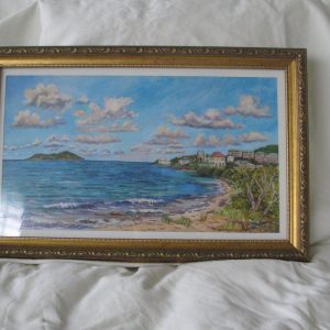 1000430 - Coakley Estate with Buck Island”