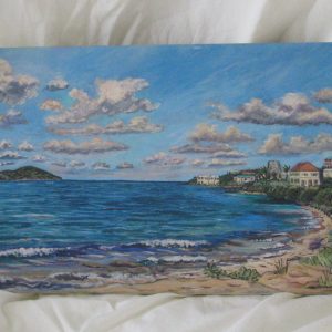 1000480 - Coakley Beach Estate with Buck Island