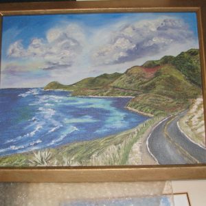 1000490 - Robins Bay from Guard Rail at Windy Point