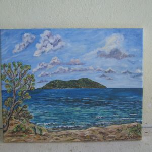 1000610 - Buck Island from Coakley Condo