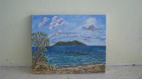 1000610 - Buck Island from Coakley Condo