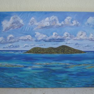1000620 - Buck Island from Coakley Beach