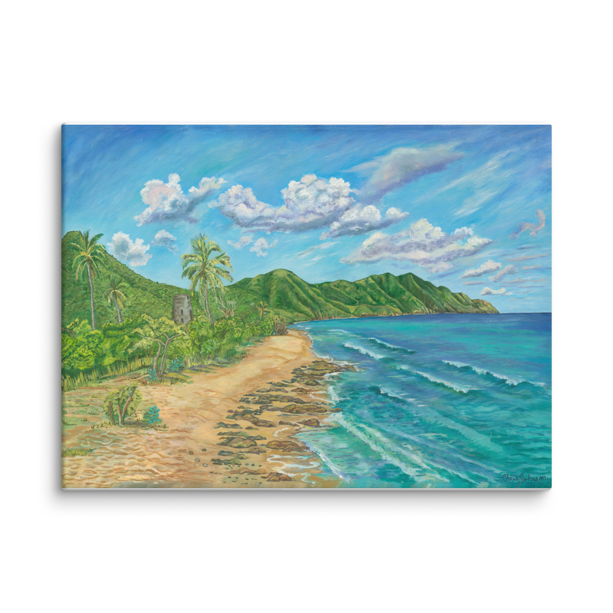 Cane Bay Baech, St. Croix USVI - 24"x18" Canvas