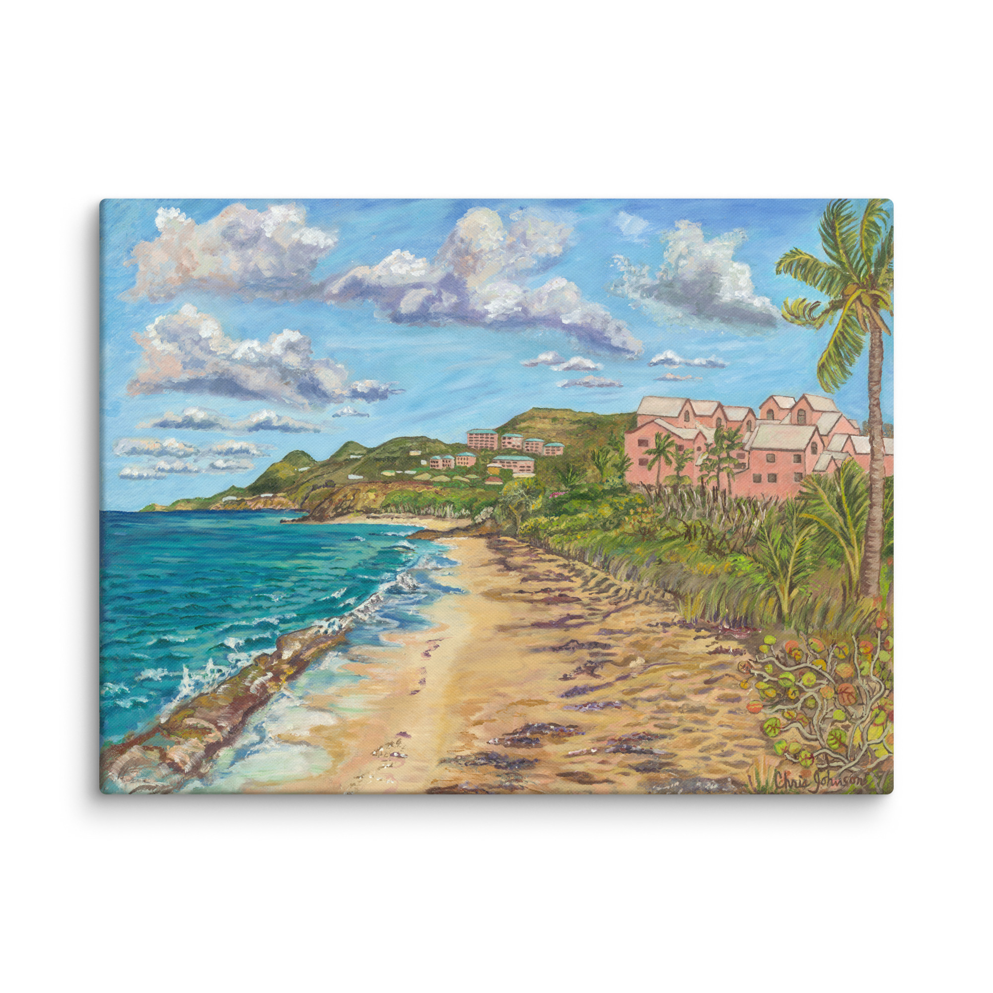 Coral Reef Beach, St. Croix 18x24 Canvas (24x18.7)