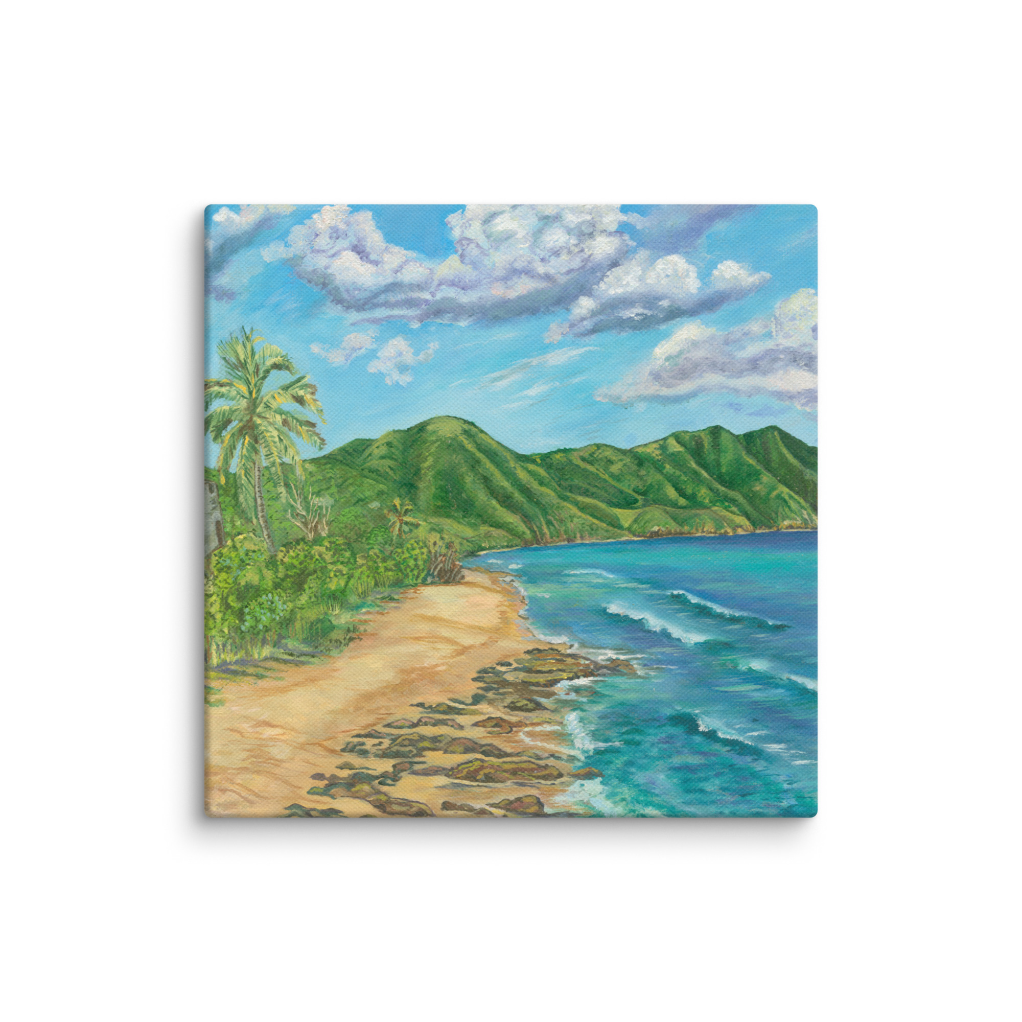 Cane Bay Baech, St. Croix USVI - 24"x18" Canvas - Image 2