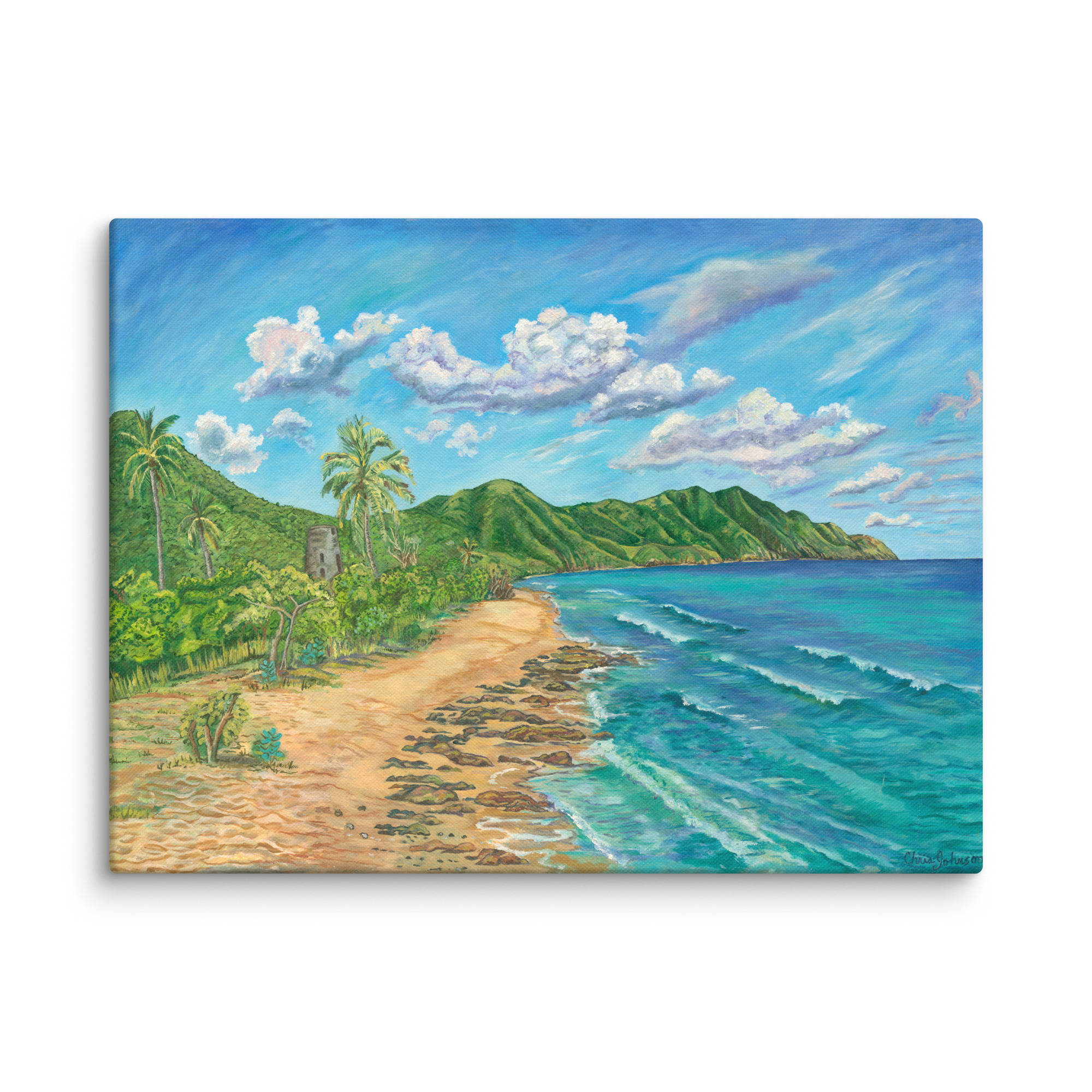 Cane Bay Beach, St. Croix, USVI Canvas Print